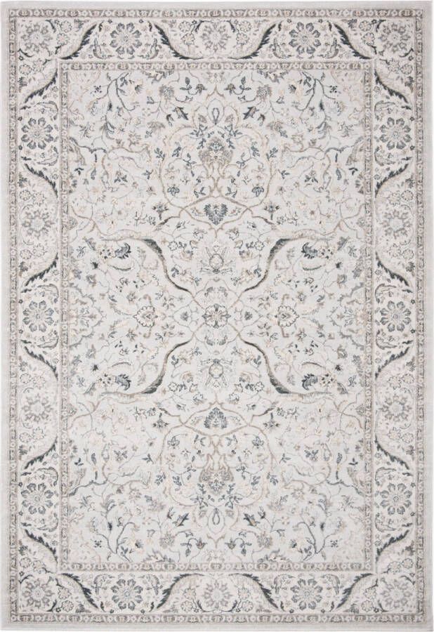 Safavieh Transitional Woven Indoor Rug Isabella in Grey 91 X 152 cm