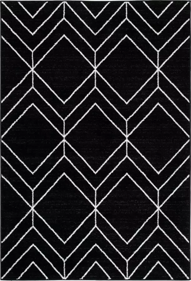 Safavieh Modern Geometrisch Indoor Geweven Vloerkleed Adirondack Collectie ADR253 in Ivoor & Grijs 122 X 183 cm - Foto 7