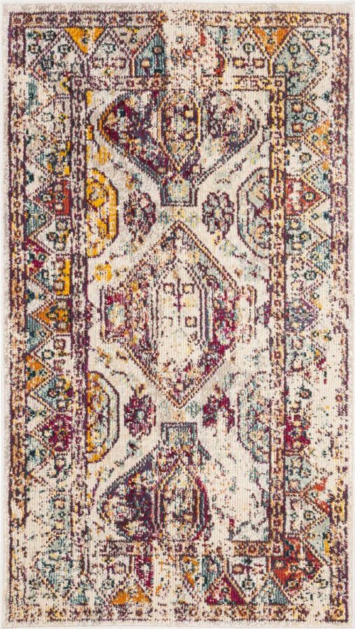 Safavieh Vibrant Indoor Geweven Vloerkleed Savannah Collectie SVH625 in Grijs & Multi 155 X 229 cm - Foto 1