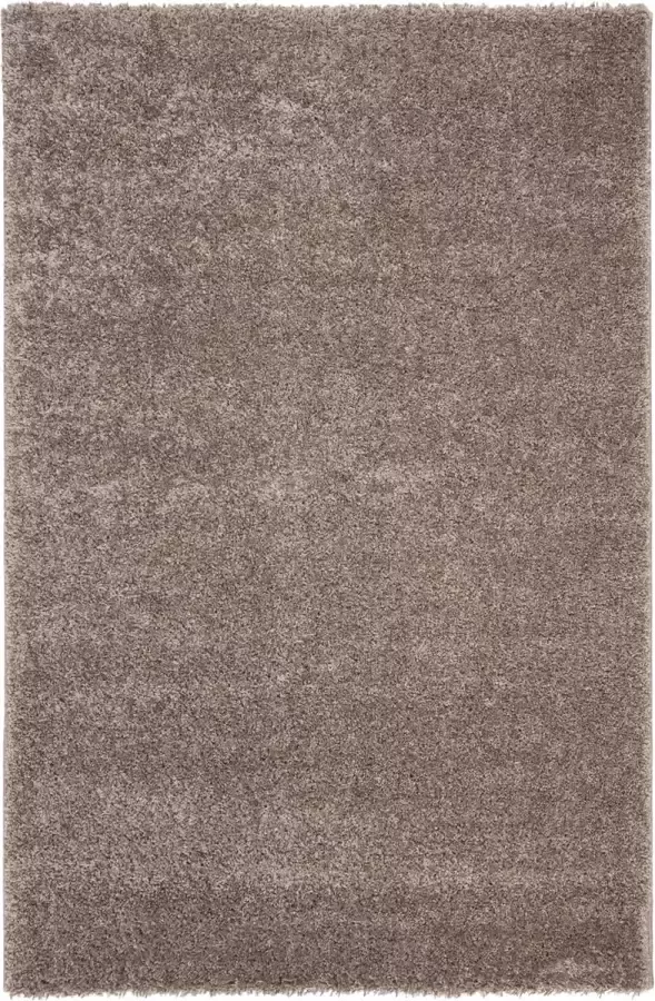 Safavieh Shaggy Indoor Geweven Vloerkleed Solo Shag Collectie SGO114 in Houtskool 201 X 290 cm - Foto 4
