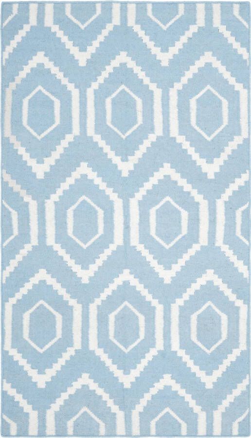 Safavieh Eigentijds Indoor Flatweave Vloerkleed Dhurrie Collectie DHU556 in Blauw & Ivoor 183 X 183 cm - Foto 1