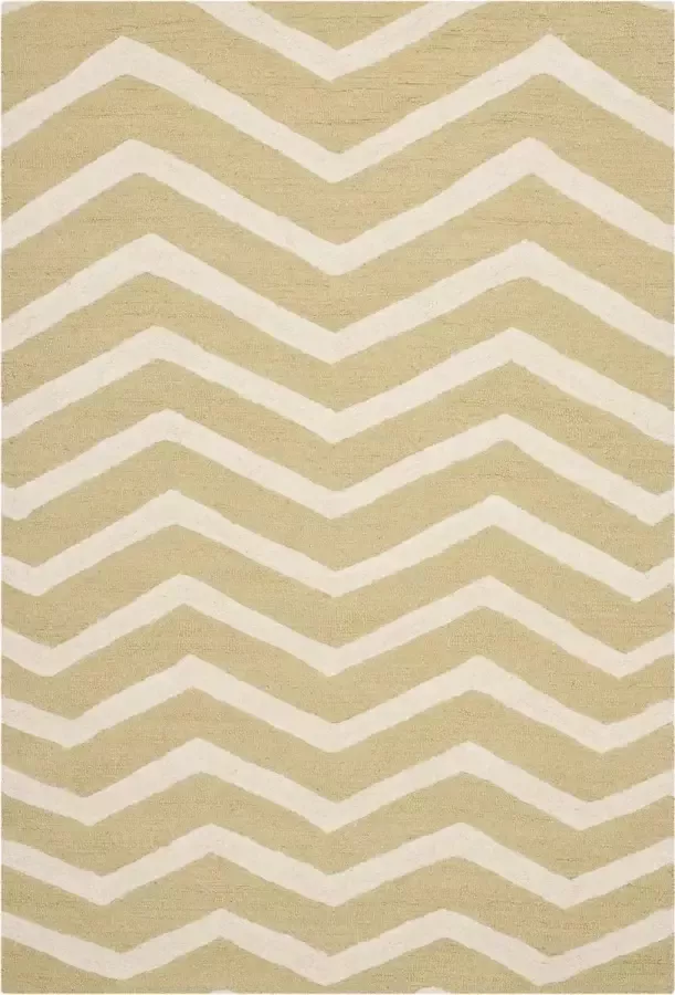 Safavieh Hedendaags Indoor Hand Getuft Vloerkleed Cambridge Collectie CAM714 in Grijs & Ivoor 152 X 244 cm - Foto 4