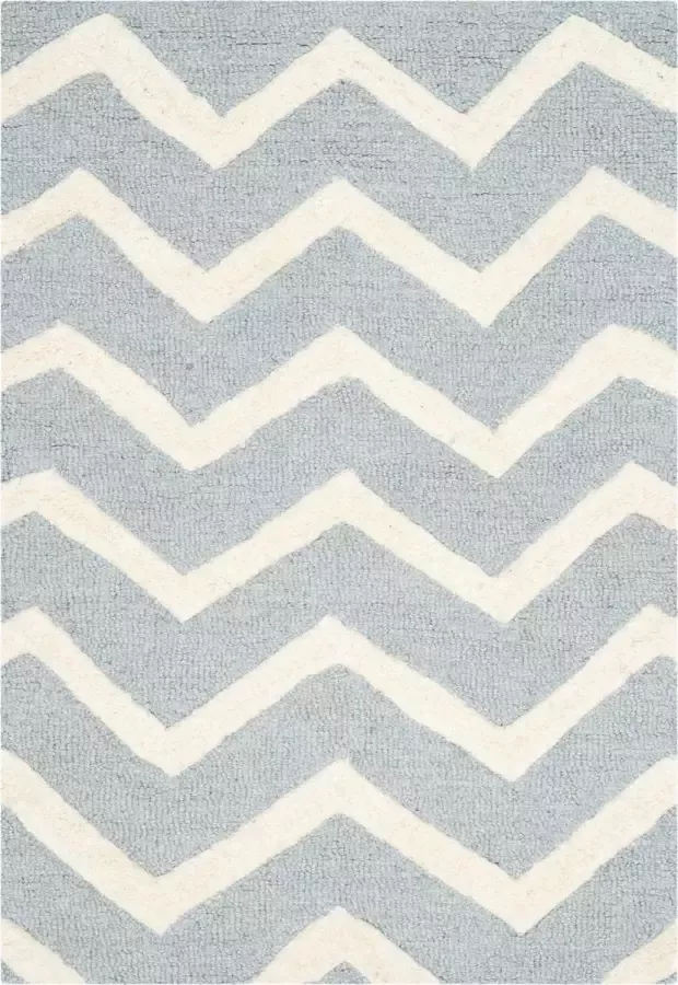 Safavieh Hedendaags Indoor Hand Getuft Vloerkleed Cambridge Collectie CAM714 in Grijs & Ivoor 152 X 244 cm - Foto 3