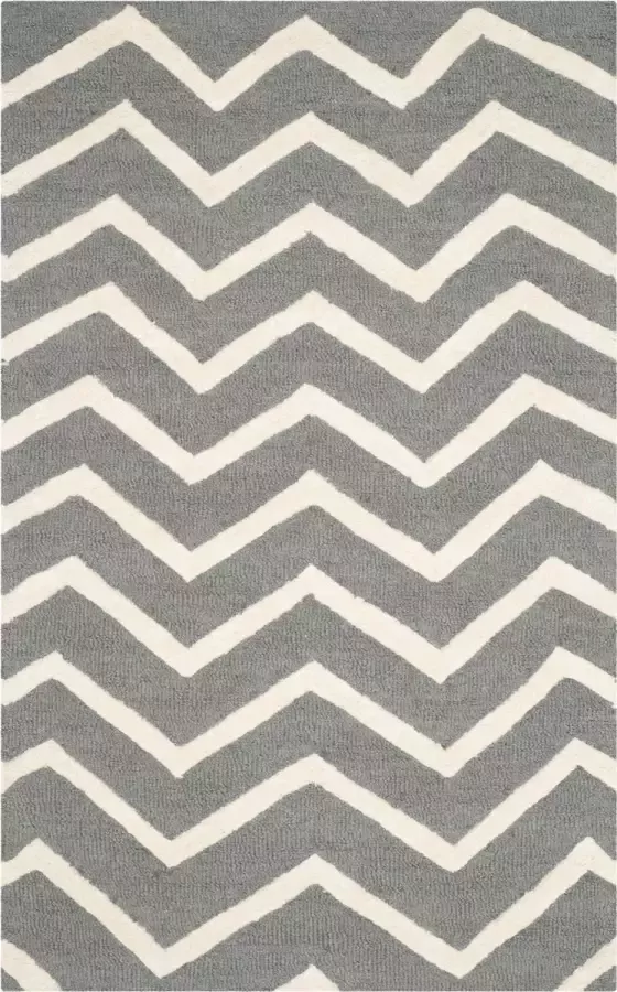 Safavieh Hedendaags Indoor Hand Getuft Vloerkleed Cambridge Collectie CAM714 in Grijs & Ivoor 152 X 244 cm - Foto 8