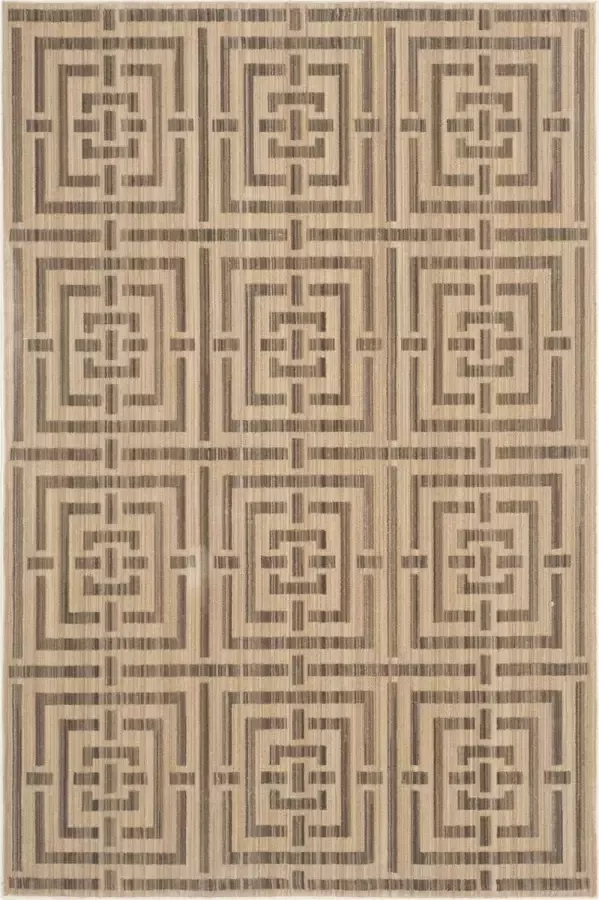 Safavieh Eigentijds Geweven Binnen Vloerkleed Infinity Collectie INF586 in Geel & Taupe 155 X 229 cm