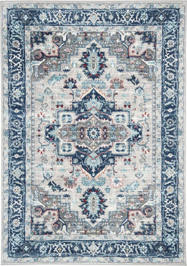 Safavieh Traditioneel Geweven Binnen Vloerkleed Brentwood Collectie BNT811 in Licht Grijs & Blauw 122 X 183 cm
