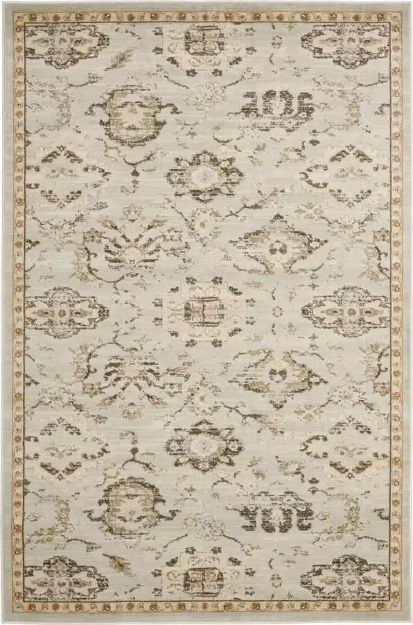 Safavieh Traditioneel Geweven Binnen Vloerkleed Florenteen Collectie FLR128 in Ivoor & Bruin 155 X 231 cm