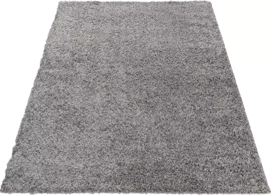 Salery Home Shaggy hoogpolig tapijt moderne vloerkleed silber 160x220 cm