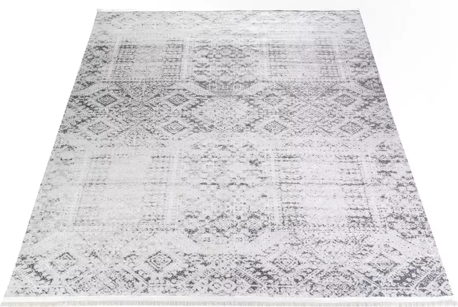 Salery Home Vloerkleed Efe tapijt Wasbaar tapijt FELIS Vintage Grijs 160X230