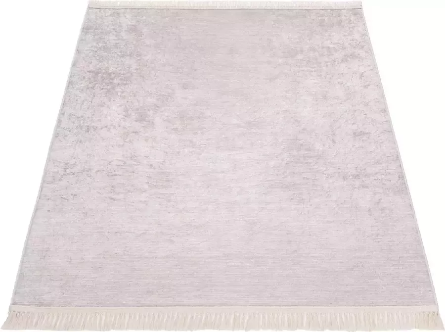 Salery Home Vloerkleed wasbaar zachte microvezel speciale druktechniek woonkamer tapijt beige 120x170