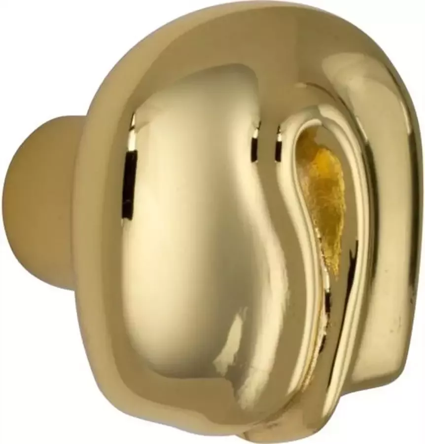 Salice Paolo meubelknop NODO 23mm messing poli gelakt