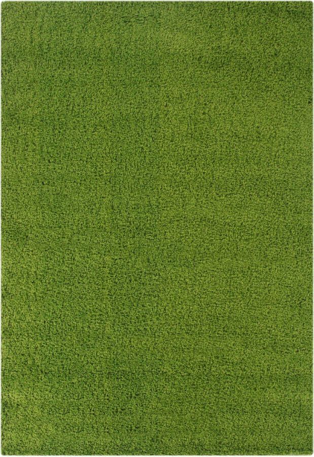 Sanat Hali Basic 170 green uni