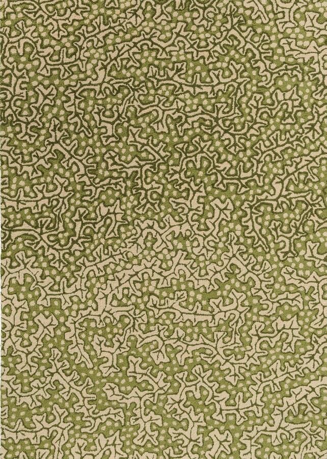 Sanderson Buitenkleed Truffle Olive 446007 Vloerkleed - Foto 2