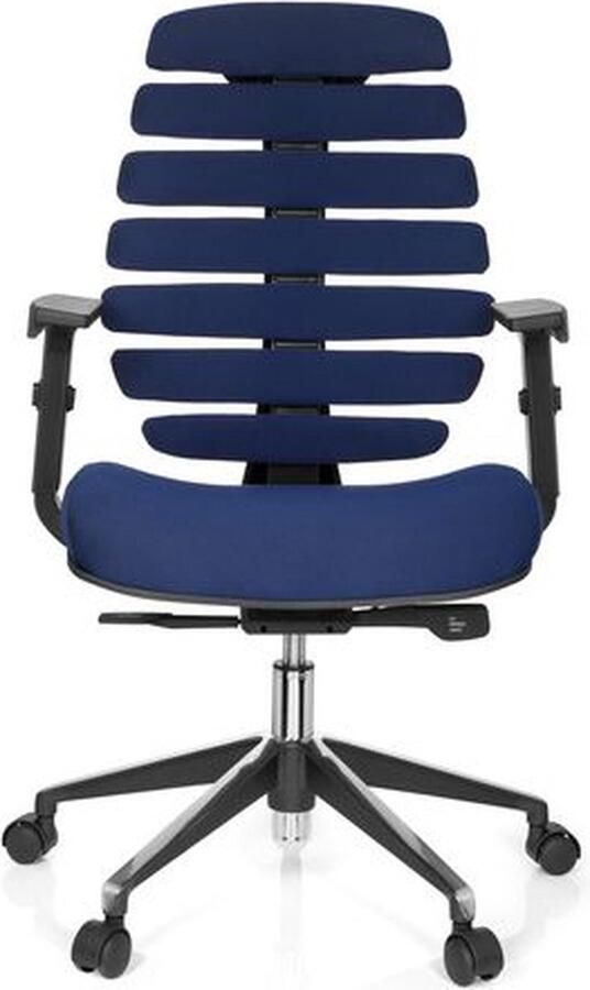 Schaffenburg Ergonomische bureaustoel 101 model Ruggengraatstoel in Blauw