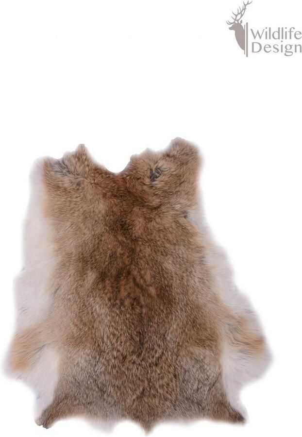 Wildlife Design XL bruine konijnenvacht XL konijnenvel wildkleur lichtbruin groot velletje tafel dierenvel dierenhuid salontafel decoratie vachtje - Foto 4