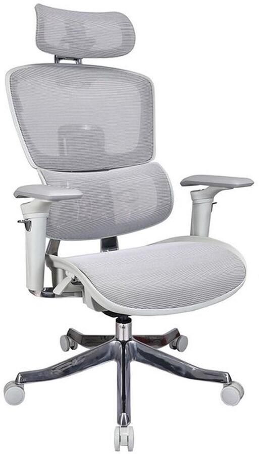 Sedero Ergonomische bureaustoel B10-Ergo Grijs 4D armleuningen Kantelbaar 3D Hoofdsteun ProjectPLUS