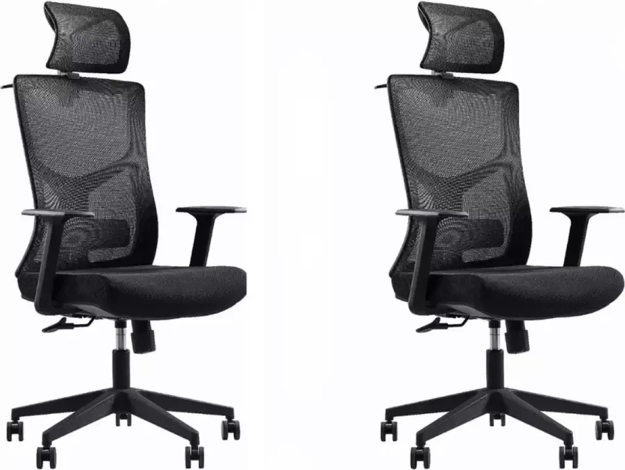 Sefaras Luxe Ergonomische Bureaustoel met lendensteun Set van 2 stuks Van metaal Bureaustoel Verstelbare Bureaustoel Met rugleuning Tot 150KG