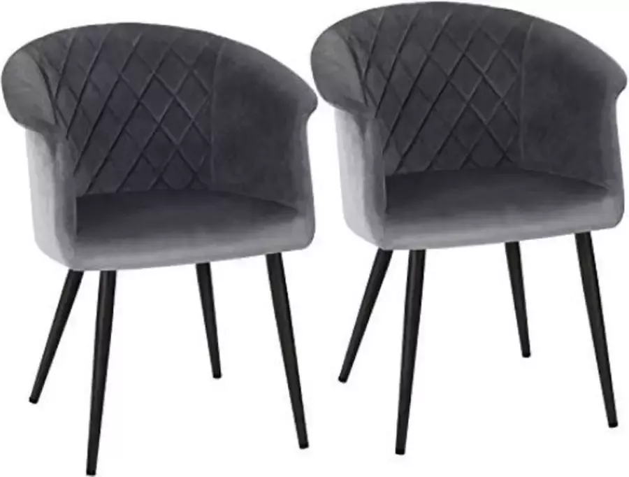 Segenn 's Eetkamerstoel set van 2 metalen poten fluweel belastbaar tot 110 kg Grijs