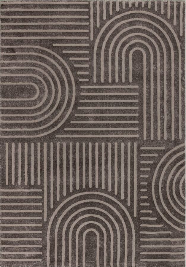 Selbro Stijlvol Geometrisch Laagpolig Tapijt voor Sfeervolle Woonkamer in Grijstinten