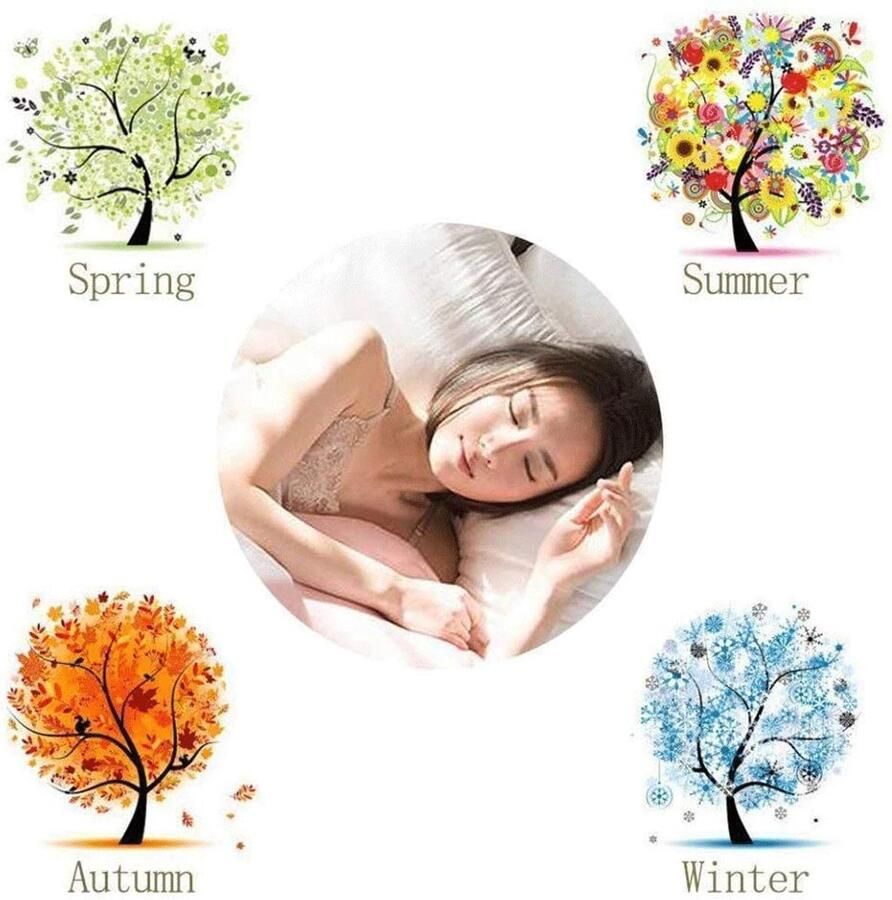 Senza Marchio Bedvolant Rok 3-delige set Hoesrok Sprei Coverlet Kant Gaas Bed Laken Stofdicht Ruche Individueel Tweepersoonsbed Prinses Lakens Student Ruches Katoen Antislip Gemakkelijk Onderhoud Uitgerust