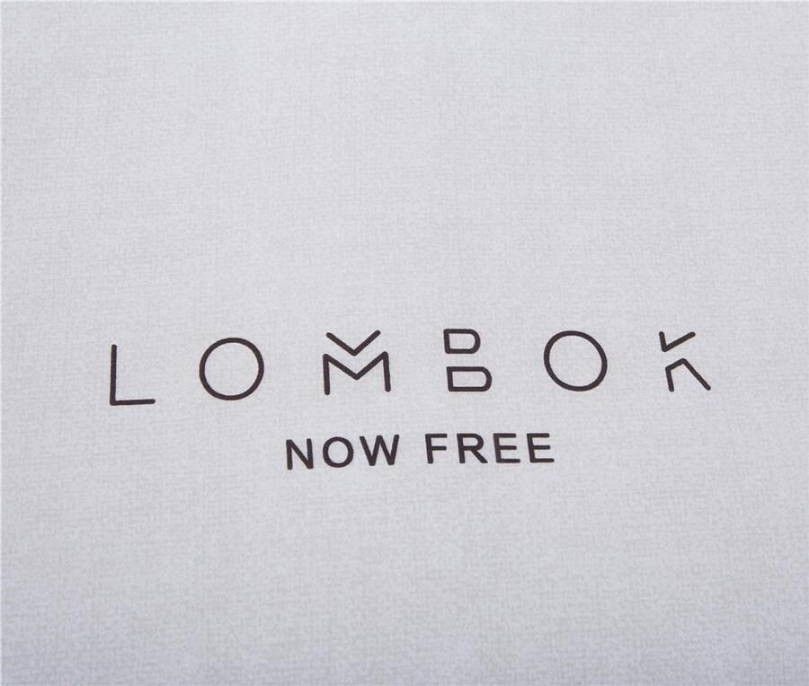 Senza Marchio Fansu Dekbedovertrek Bed Laken Set 4 Stuk Super Zacht 100% Microfiber Gemakkelijk te onderhouden Elegante Klassieke Serie Beddengoed met Flat Sheet Dekbedovertrek Kussenslopen