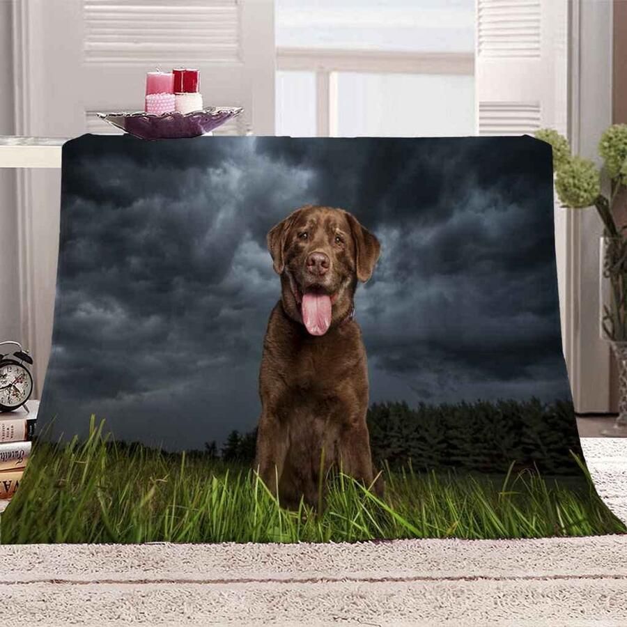 Senza Marchio FHOIDM Deken Flanellen Deken 3D Kleur Dier Dragonfly Fleece Gooi Deken voor Baby Kind Volwassenen Zacht Gezellig Pluche Beddengoed Bank Deken Home Decor Dekens Kantoor Deken Nap Deken 130x150 cm