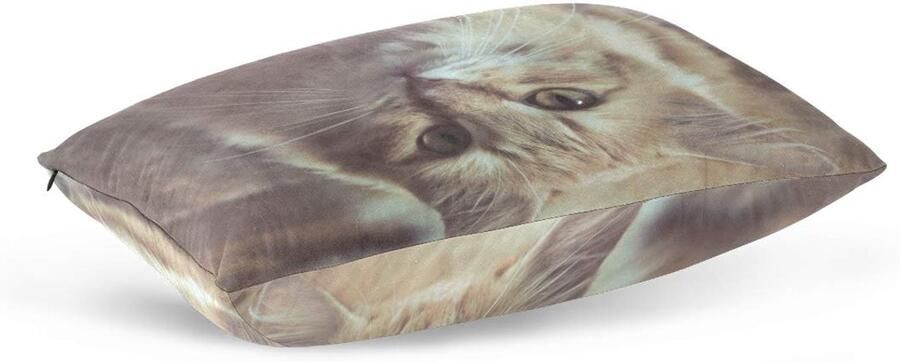 Senza Marchio hengpai romantische Eiffeltoren lange kussenslopen katoen fluweel decoratieve kussensloop voor bank beddengoed