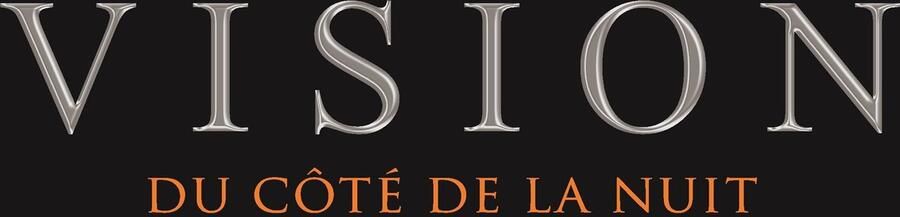 Senza Marchio Vision Hugo Omkeerbaar beddengoed – Hugo antracietgrijs grijs – dekbedovertrek 200 x 200 cm met 2 kussenslopen voor tweepersoonsbed – 100% katoen