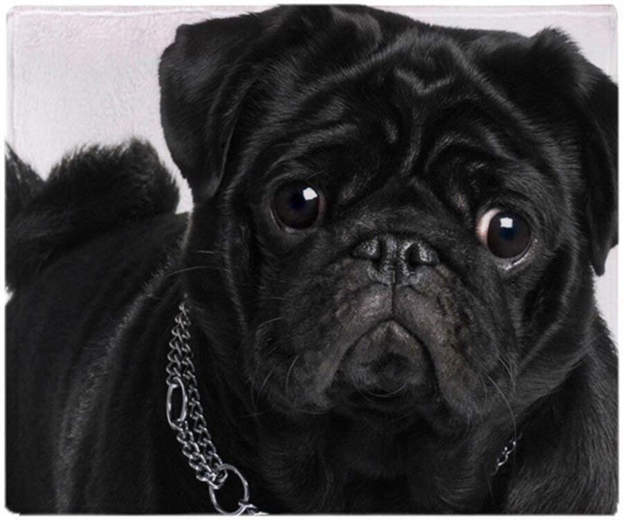 Senza Marchio YISUMEI Deken Zwarte Pug Knuffeldekens Zachte Flanel Fleece Deken Bed Throw (150 x 200 cm)