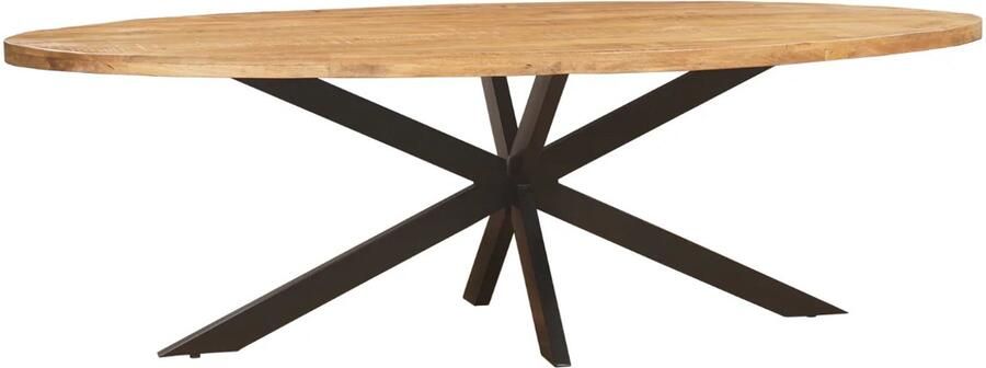 Sfeerwonen Enzo Eettafel Ovaal 200 x 100 cm Mangohout Naturel Rechte Rand Afwerking Stalen Matrix Poot - Foto 3