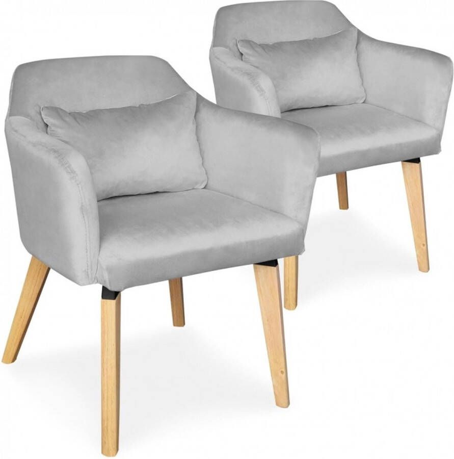 Shaggy Set van 2 Scandinavische stoelen fauteuils Velvet Zilver