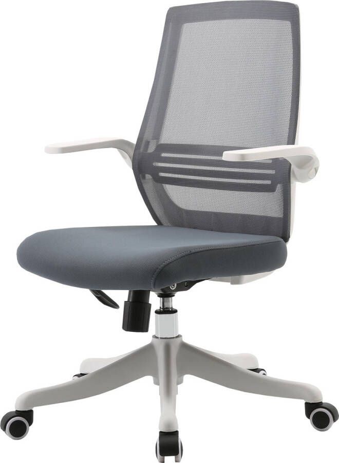 Sihoo Moderne ergonomische bureaustoel ademend taillesteun hefbare armleuning ~ grijs