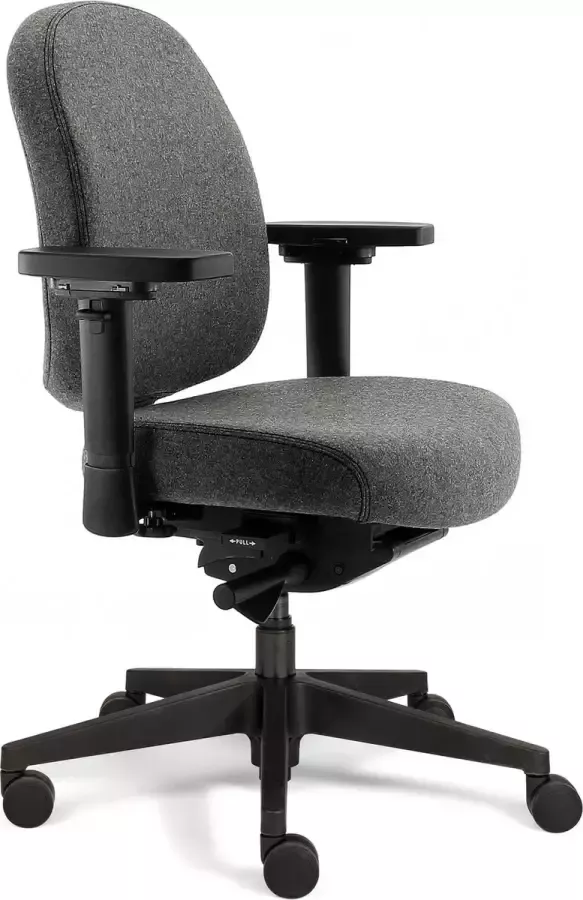 Sit And Move Therapod X Compact Middengrijs Bureaustoel Wolvilt Fenice