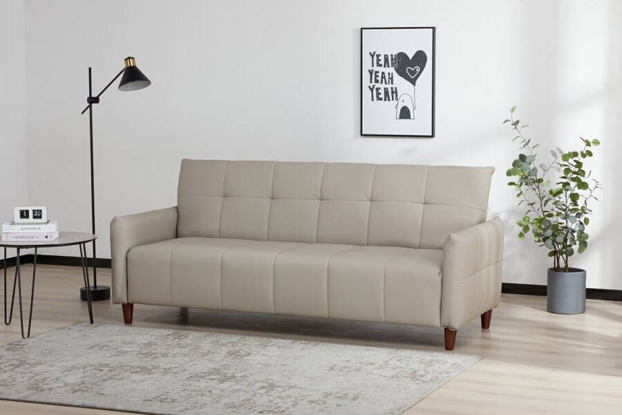 Sleepking Slaapbank Sofa Bed Levante Taupe Met Opbergruimte