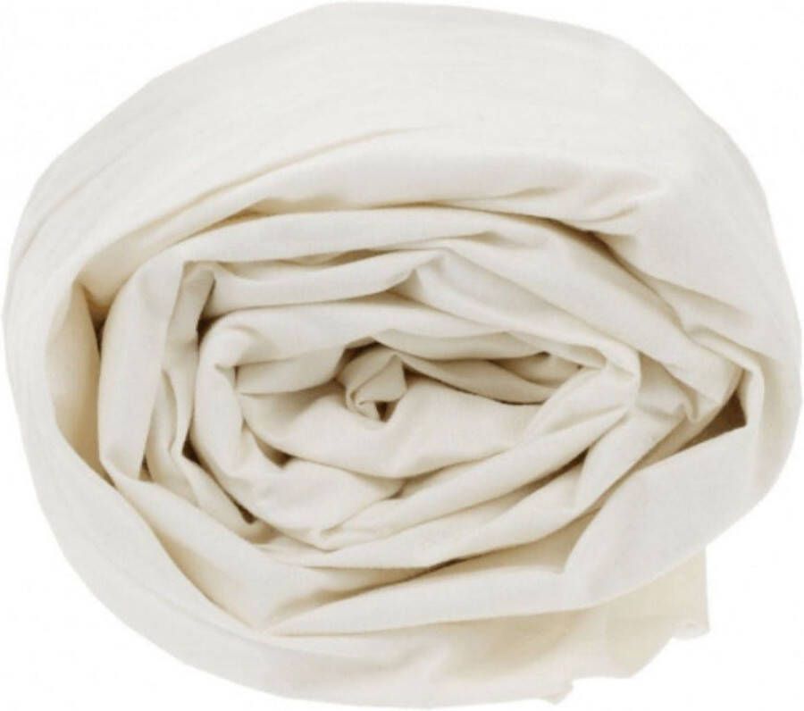 Sleepnight Hoeslaken Katoen (hoekhoogte 25 cm ) Ecru ivoire B 80 x L 200 cm 1-persoons Geschikt voor Standaard Matras 798578-B 80 x L 200 cm - Foto 2