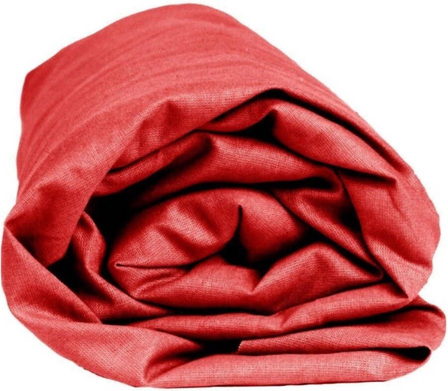 Sleepnight Hoeslaken Katoen (hoekhoogte 25 cm ) Rood rouge B 90 x L 200 cm 1-persoons Geschikt voor Standaard Matras 517623-B 90 x L 200 cm - Foto 2