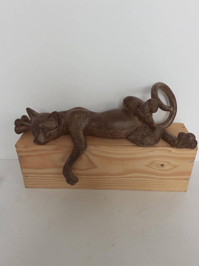 Slijkhuis Katten beelden GEWELDIGE bruine kat die gekronkeld ligt voor op een rand van kast van 25x39x17 cm