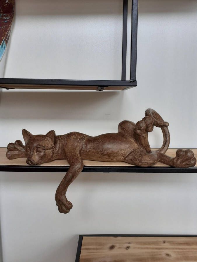 Slijkhuis Katten beelden GEWELDIGE bruine kat die gekronkeld ligt voor op een rand van kast van 25x39x17 cm