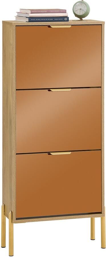 SoBuy FSR181-H-G Schoenenkast Gold Houtcomposiet voor Entree