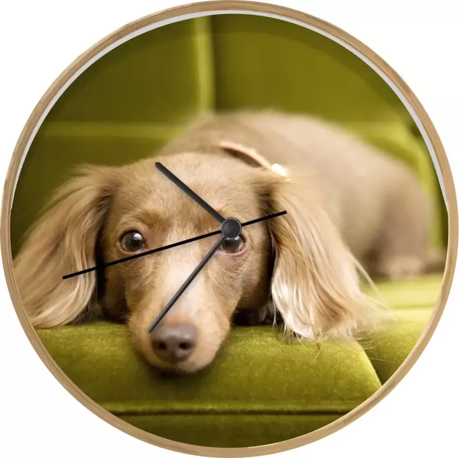 SoManyClocks Klok Ø 30 cm Een Teckel liggend op een groene bank Houtkleurig Wandklok
