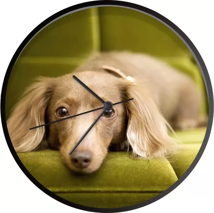 SoManyClocks Klok Ø 30 cm Een Teckel liggend op een groene bank Zwart Wandklok