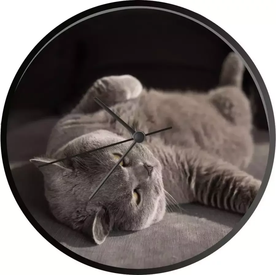 SoManyClocks Klok Ø 30 cm Kat Bank Zon Zwart Wandklok