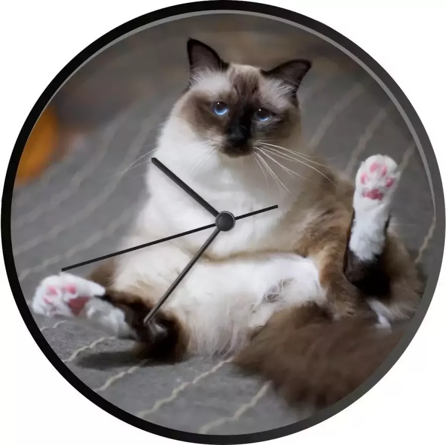 SoManyClocks Klok Ø 30 cm Kat Bed Dieren Zwart Wandklok