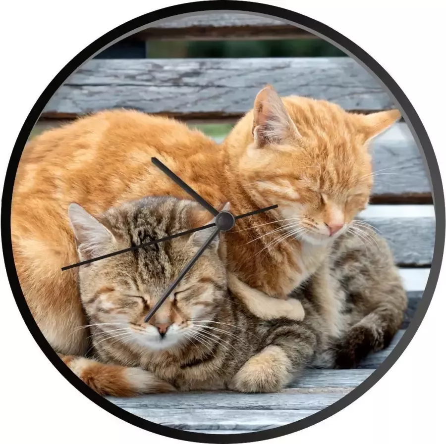 SoManyClocks Klok Ø 30 cm Kat Slapen Bank Zwart Wandklok