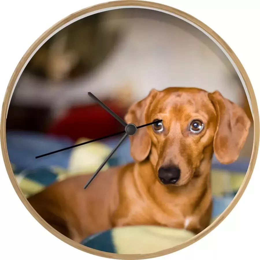 SoManyClocks Klok Ø 30 cm Teckel die op een bed ligt Houtkleurig Wandklok