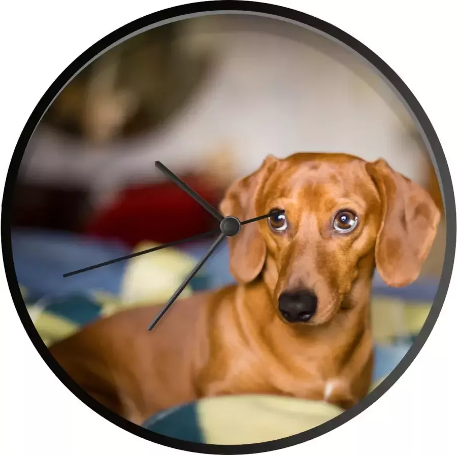 SoManyClocks Klok Ø 30 cm Teckel die op een bed ligt Zwart Wandklok