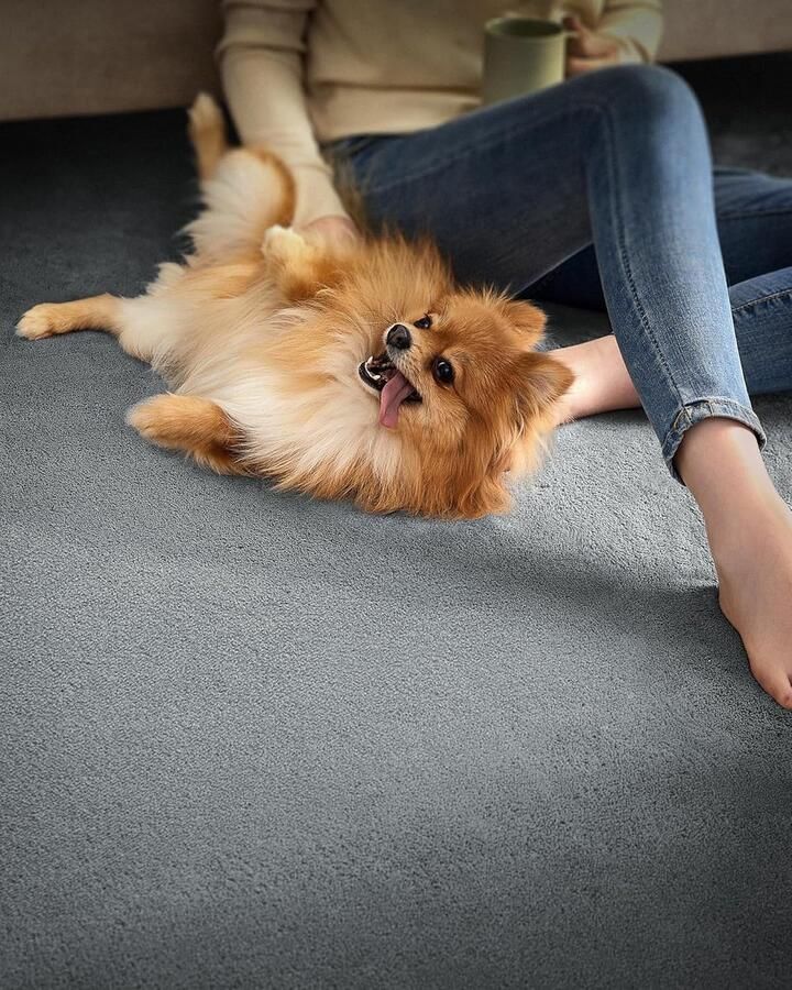 ‎SONGMICS Vloerkleed 120x170 cm – Antislip Tapijt – Wasbaar & Superzacht – Modern Design – Voor Woonkamer Slaapkamer of Kinderkamer – Duifgrijs – TAR012G01