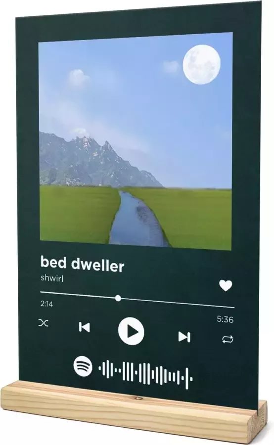Songr Spotify Muziek Bordje bed dweller shwirl 20x30 Groen Dibond Aluminium Plaat Cadeau Tip voor Man en Vrouw