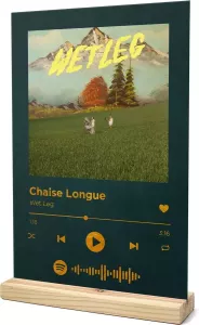 Songr Spotify Muziek Bordje Chaise Longue Wet Leg 20x30 Groen Dibond Aluminium Plaat Cadeau Tip voor Man en Vrouw