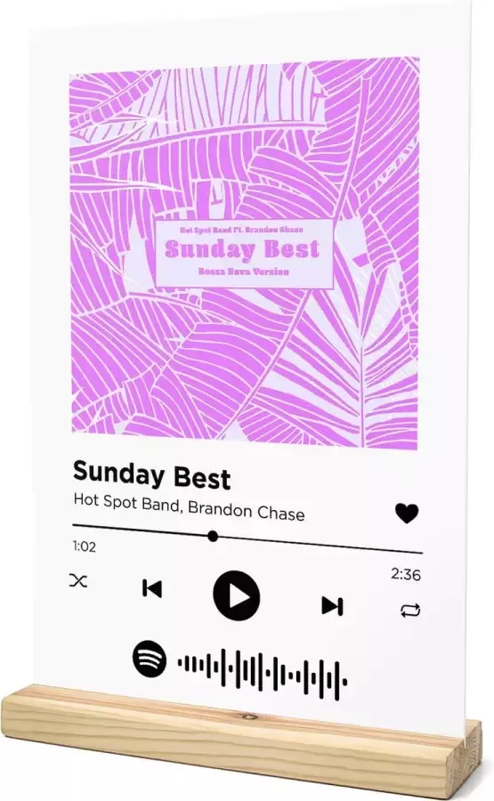 Songr Spotify Muziek Bordje Sunday Best Hot Spot Band Brandon Chase 20x30 Wit Dibond Aluminium Plaat Cadeau Tip voor Man en Vrouw